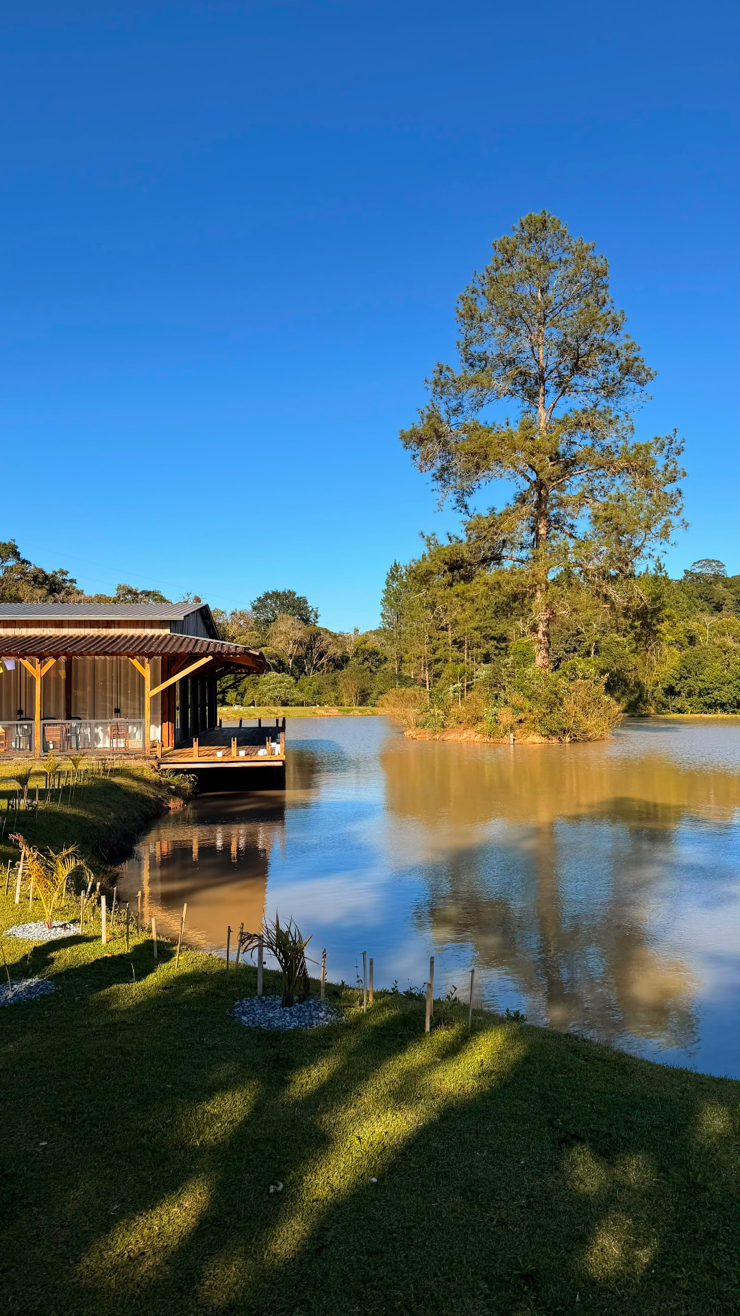 Deck, lago e grande árvore no Vilarejo Núcleo Consciência